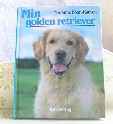 Min Golden Retriever av Marianne Holm-Hansen!