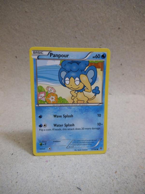 Pokemon XY Panpour 37 146 NM