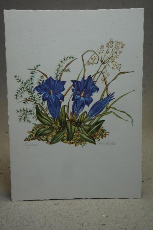 Blommor Gammalt oskrivet vykort Rosi Fischer