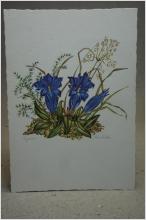 Blommor Gammalt oskrivet vykort Rosi Fischer