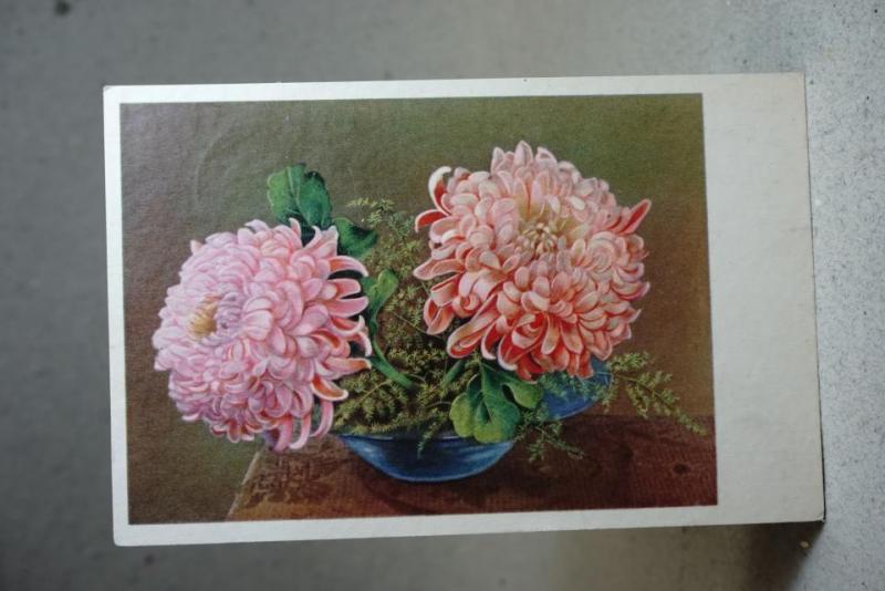 Vackra blommor - Gammalt vykort 1952