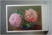 Vackra blommor - Gammalt vykort 1952