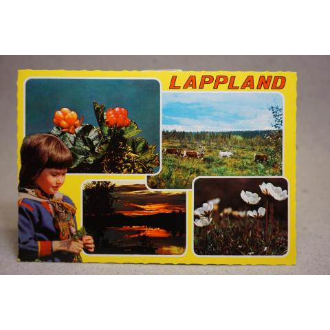 Lappland - skrivet äldre vykort 1981