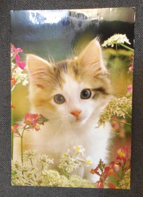 Söt kattunge med blommor