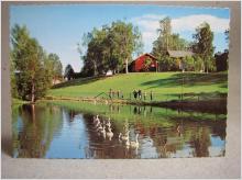 Vy från Skellefteå Västerbotten Oskrivet äldre vykort