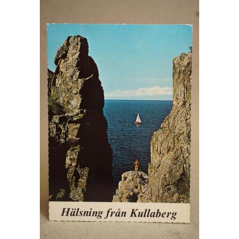Vy från Kullaberg 1988 Skrivet äldre vykort