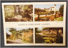 Vykort Derry and Toms Roof Garden England