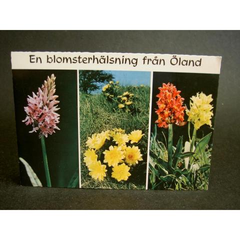 Vykort Öland Blommor Flerbildskort