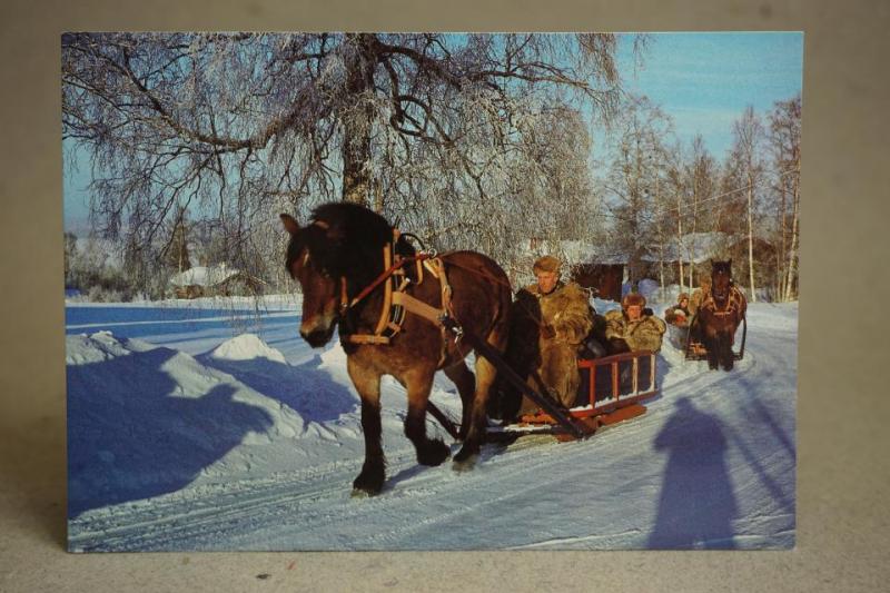 Folkliv - Slädtur med hästar 1988 - Dalarna