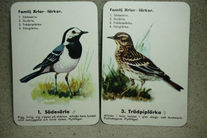 Fåglar - 4 Vackra Fågelbilder efter Konstnären Harald Wiberg 's  orginalbilder - Lärkor