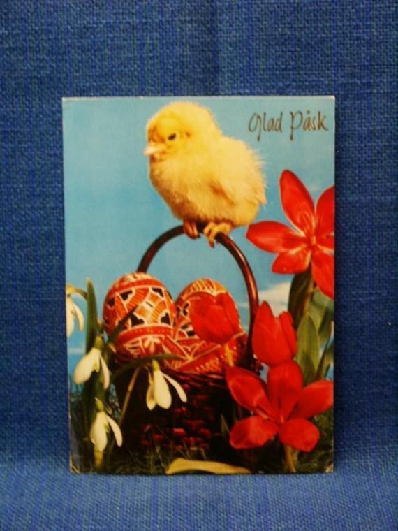 Vykort - Söt Kyckling med blommor och ägg - Glad Påsk