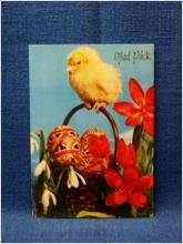 Vykort - Söt Kyckling med blommor och ägg - Glad Påsk