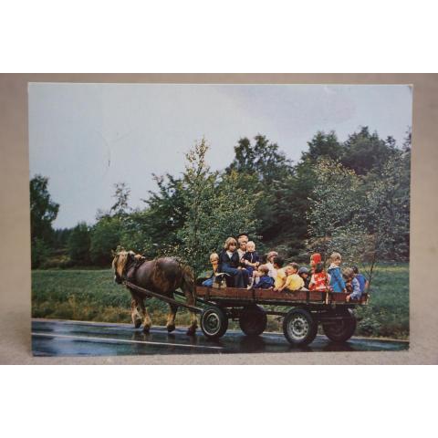 Barn Häst och vagn  - skrivet  vykort 1977