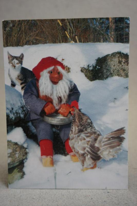 Vykort - Julkort med Tomte Höna och Katt