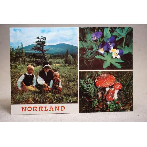 Natur Norrland - skrivet äldre vykort 1987