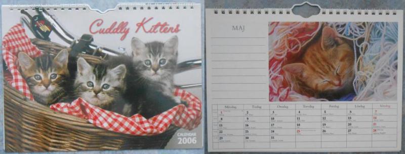 Kalender: Cuddly Kittens 2006