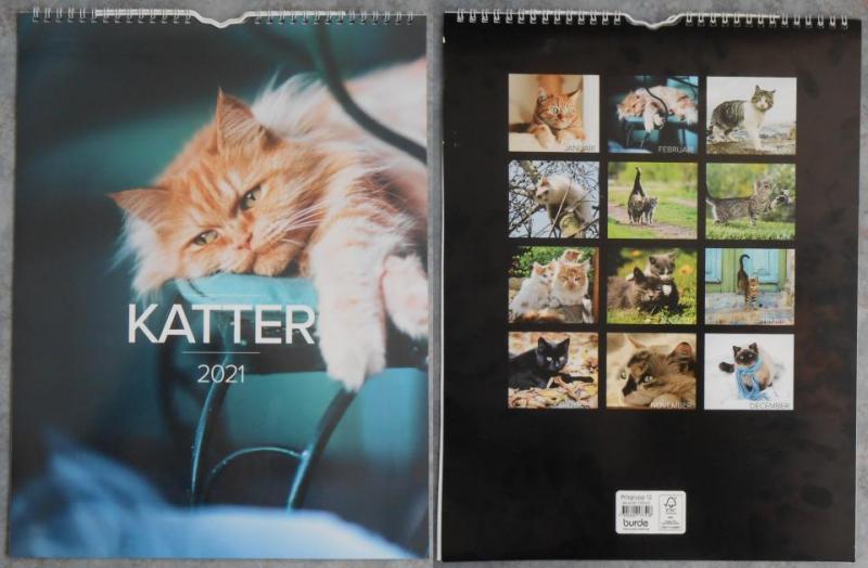 Kalender: Katter 2021