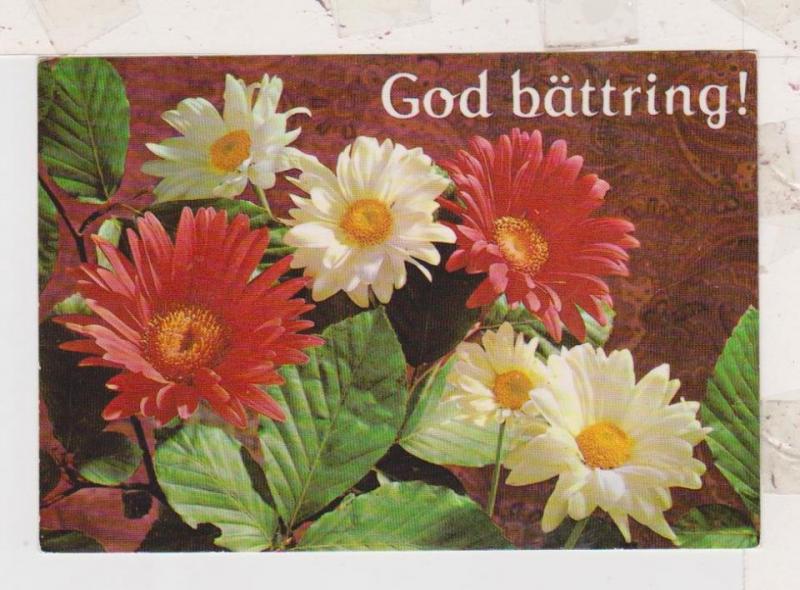 28922    VITA OCH RÖDA BLOMMOR MED TEXT   GOD BÄTTRING   EJ POSTGÅNGET