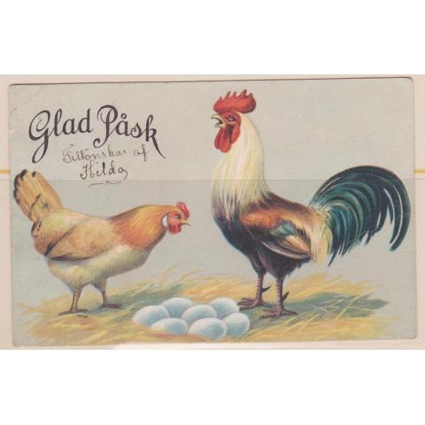Glad Påsk. Tupp och höna vid äggen,färgkort, skrivet 1908.