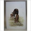 Häst med fölungar av Stig Blanck