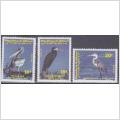 Republique de Djibouti, postfriska fåglar 1991