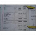 Bromsbackar Bak.Renault R4,R16,R20,R25 + Peug 204. 305