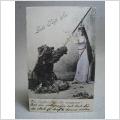 Antikt Brefkort Flicka möter björn 1908