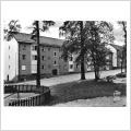 Vykort.Stockholm. Ulriksdal. Fläderstigen,, Pressbyråkort 301263