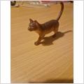 Katt